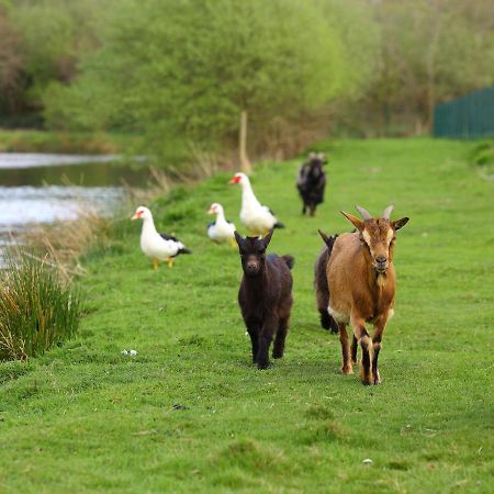 Gites De La Ferme De Vur Ven Гув'є Екстер'єр фото